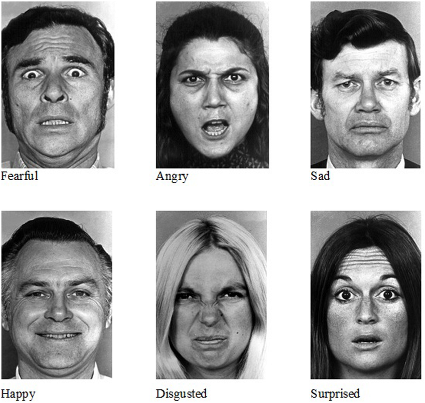 Facial expressions corresponding to the six basic emotions: fear, anger, sadness, happiness, disgust, and surprise